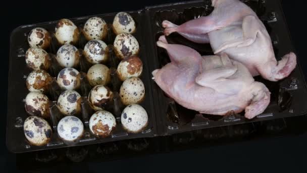 Carne fresca de codorniz en una bandeja de plástico marrón junto a los huevos de codorniz sobre un fondo negro . — Vídeos de Stock