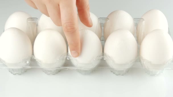 Beyaz arka planda şeffaf bir plastik tepsisinde büyük beyaz tavuk yumurtası. Kadın elleri tepsiye yumurta alır. — Stok video