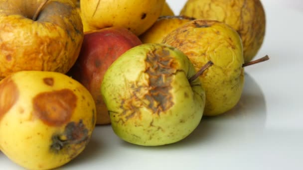 Mehrfarbige faule verdorbene reife Äpfel und ein reifer Apfel rotieren auf weißem Hintergrund. — Stockvideo