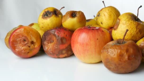 Multicolored rotten spoiled ripened apples and one ripe apple rotating on white background. — Stock Video