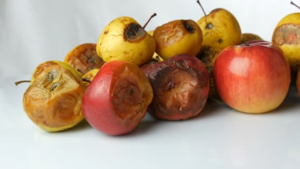 Multicolored rotten spoiled ripened apples and one ripe apple rotating on white background. — Stock Video