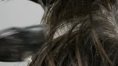 Özel fırça ile saçlarını kendi renklendiren orta yaşlı bir kadının büyümüş gri kökleri. Beyaz bir arka planda bir kadınların kafası koyu saçlı ve beyaz kökleri. Salon yakın görünüm saç bakımı.