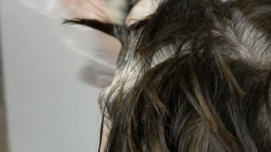Özel fırça ile saçlarını kendi renklendiren orta yaşlı bir kadının büyümüş gri kökleri. Beyaz bir arka planda bir kadınların kafası koyu saçlı ve beyaz kökleri. Salon yakın görünüm saç bakımı.