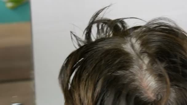 특별 한 브러시로 그녀의 머리를 채색 하는 중 년 여성의 자란 회색 뿌리. 흰 바탕에 여자 머리의 검은 머리와 흰 뿌리. 살롱에서 헤어 케어 클로즈업 보기. — 비디오