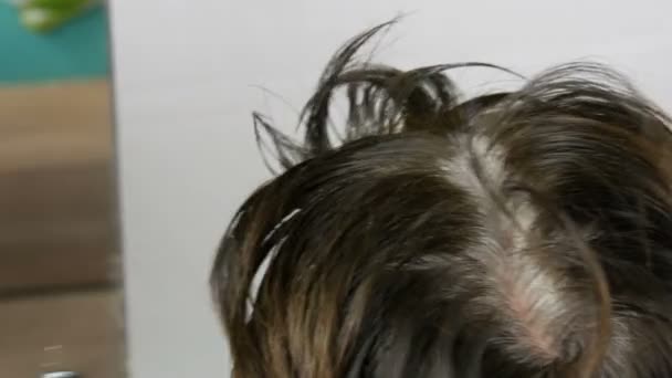 Le radici grigie troppo cresciute di una donna di mezza età che si tinge i capelli con una spazzola speciale. Capelli scuri e radici bianche di una testa di donne su uno sfondo bianco. Cura dei capelli in salone vista da vicino . — Video Stock