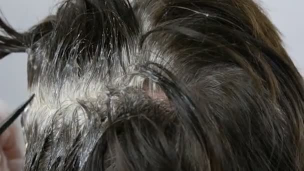 Las raíces grises de una mujer de mediana edad que se tiñe el cabello con un cepillo especial. Cabello oscuro y raíces blancas de una cabeza de mujer sobre un fondo blanco. Cuidado del cabello en el salón vista de cerca . — Vídeo de stock