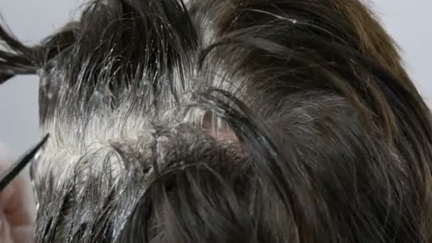 De begroeide grijze wortels van een vrouw van middelbare leeftijd die haar haar zelf met speciale borstel kleurt. Donker haar en witte wortels van een vrouw hoofd op een witte achtergrond. Haarverzorging in salon close-up bekijken. — Stockvideo