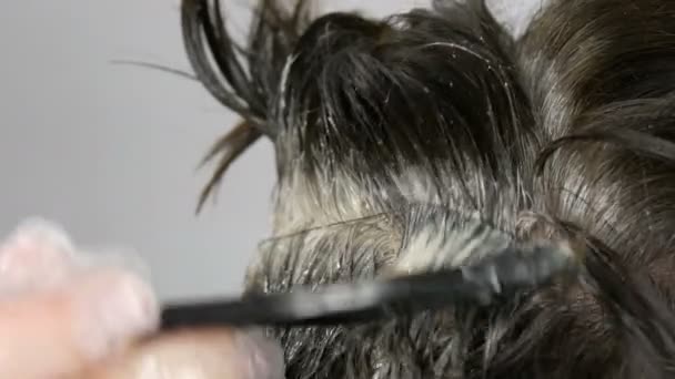 Las raíces grises crecidas de una mujer de mediana edad que se debe el pelo con un cepillo especial, se ven de cerca. Cabello oscuro y raíces blancas de una cabeza de mujer sobre un fondo blanco. Cuidado del cabello vista de cerca — Vídeo de stock