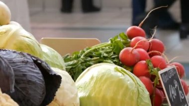 Çeşitli sebze bakkal market tezgahın üstünde. Sağlıklı gıda, lif, diyet, yazıt Macarca.