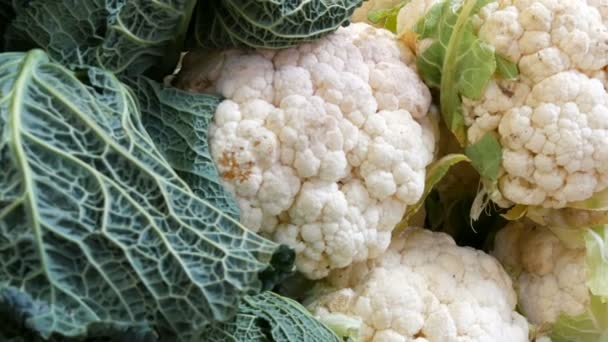 Varietà di cavolo, bianco, Bruxelles, broccoli, colore sul bancone del mercato. Cibo sano, fibre sane, dieta vegetale — Video Stock