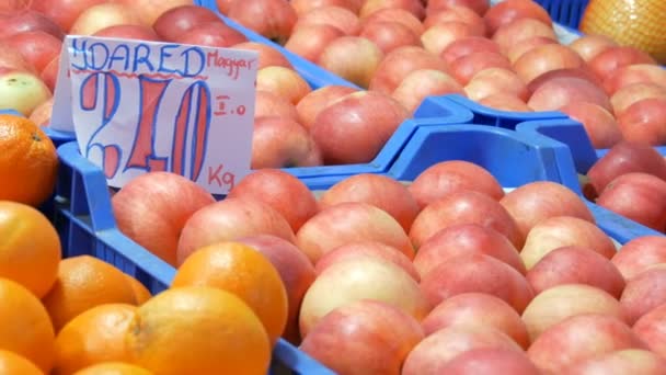 Νόστιμα ώριμα μεγάλα στρογγυλά κόκκινα μήλα σε πάγκο αγοράς. Επιγραφή στην ουγγρική. — Αρχείο Βίντεο