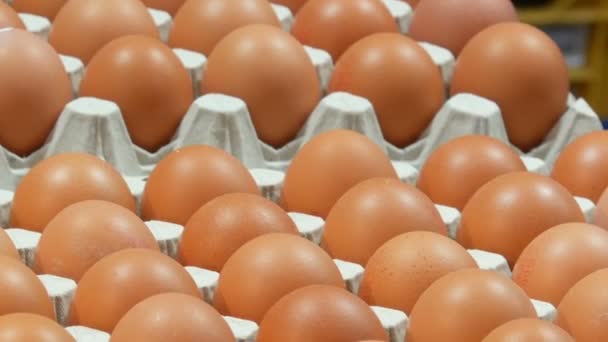 Budapest, Ungarn - 6. Dezember 2018: viele braunschalige Eier in einem Tablett an einem Marktstand. — Stockvideo