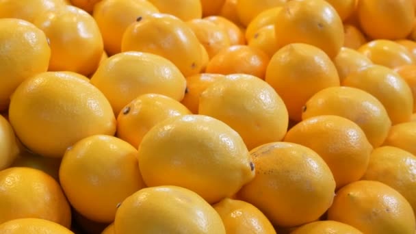 Grote mooie rijpe gele citroenen zijn op de markt teller sluiten van weergave. — Stockvideo