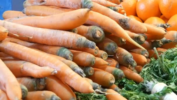 Varias verduras en el mostrador del mercado de comestibles. Comida saludable, fibra, dieta, inscripción en húngaro . — Vídeo de stock