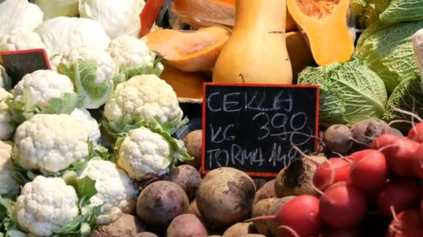 Varias verduras en el mostrador del mercado de comestibles. Comida saludable, fibra, dieta, inscripción en húngaro . — Vídeos de Stock