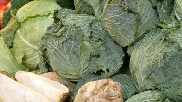 Variedades de col, blanco, Bruselas, brócoli, color en el mostrador del mercado. Alimento saludable, fibra saludable, dieta vegetal — Vídeo de stock