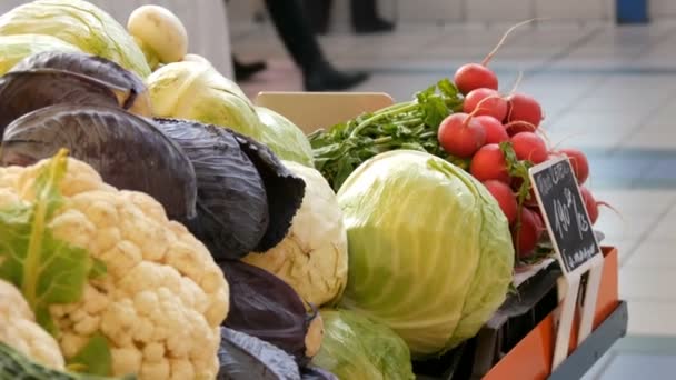 Variedades de repolho, branco, Bruxelas, brócolis, cor no balcão do mercado. Alimentos saudáveis, fibra saudável, dieta vegetal — Vídeo de Stock
