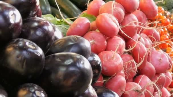 Vários vegetais no balcão do mercado de mercearia. Comida saudável, fibra, dieta, inscrição em húngaro . — Vídeo de Stock