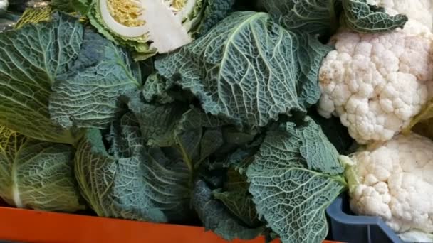 Varietà di cavolo, bianco, Bruxelles, broccoli, colore sul bancone del mercato. Cibo sano, fibre sane, dieta vegetale — Video Stock