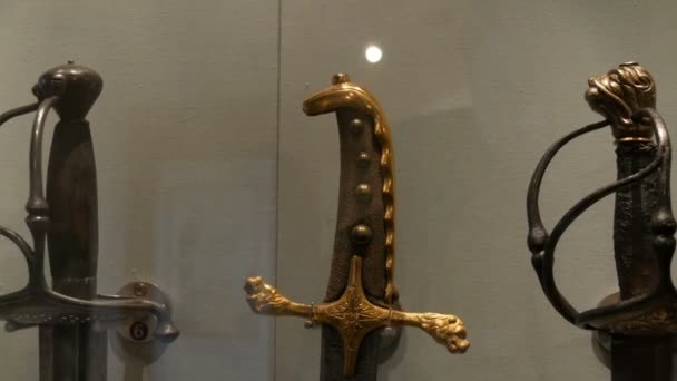 Middeleeuwse wapen wapens in de vorm van snoeken en zwaarden in het Kasteelmuseum. — Stockvideo