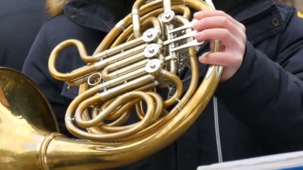 Nürnberg, Tyskland-december 5, 2018: en gata musiker som leker franskan horn närbild beskådar. — Stockvideo