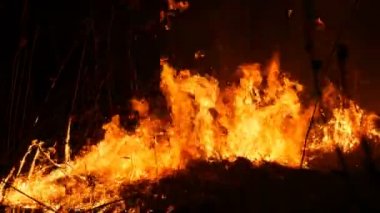 Bir alanda gece korkunç tehlikeli vahşi ateş görünümü yakın. Kuru saman çim yakma. Ateşte doğanın büyük bir alanı.