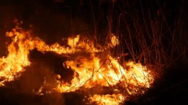 Bir alanda gece korkunç tehlikeli vahşi ateş görünümü yakın. Kuru saman çim yakma. Ateşte doğanın büyük bir alanı.
