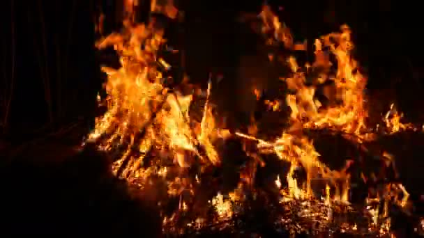 Ein schrecklicher, gefährlicher Waldbrand in der Nacht auf einem Feld. Verbrennung von trockenem Strohgras. ein großes Gebiet der Natur in Flammen. — Stockvideo