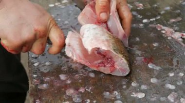Bir adam sadece canlı büyük balık Balık bir balıkçının keser parçalar halinde yakaladı. Daha fazla yemek pişirmek için tatlı su Balık Temizleme