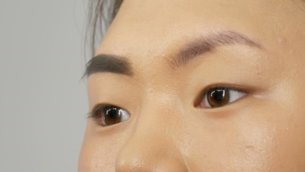 Professionelle Stylistin Make-up Artist mit speziellen Pinsel malt Augenbrauen mit Augenbrauenschatten eines asiatischen Mädchens Modell Gesicht in Visagistikstudio Nahaufnahme — Stockvideo