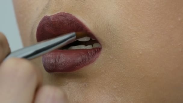 Artista de maquillaje estilista profesional con pinturas especiales de pincel labios de color rojo oscuro con un cepillo especial de la cara modelo chica asiática en el estudio de visage vista de cerca — Vídeo de stock