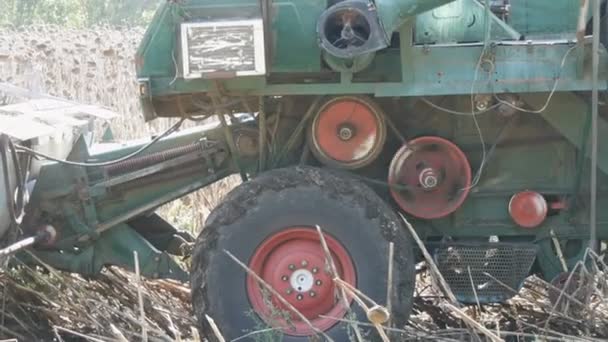古いコンバインは、フィールドに乾燥したヒマワリを収穫します。動作するハーベスタの詳細 — ストック動画