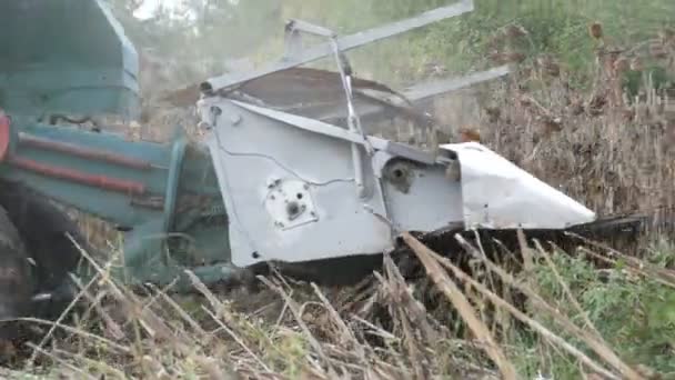 Une vieille vendangeuse bleue récolte un tournesol sur le champ. Tournesols secs sont coupés à l'aide d'une combinaison agricole 
