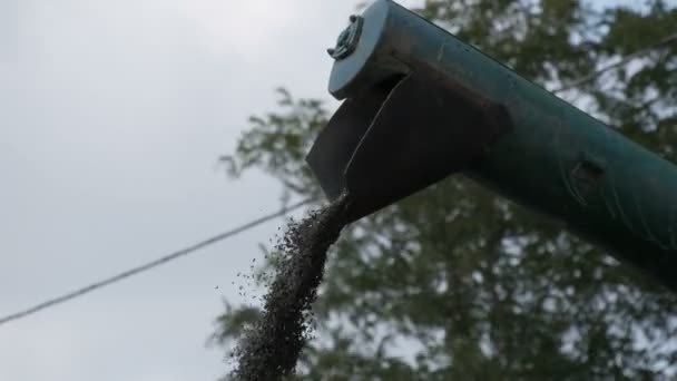 La corriente de girasol recién cortado se mueve de combinar a la vista del camión de cerca, cosecha de girasol, trabajando cosechadora combinar transferir su carga de girasol recién cortado a un remolque de espera — Vídeos de Stock