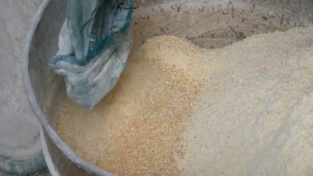 Кукурудзяні висівки або пластівці в спеціальній машині для подрібнення зерна. Кукурудзяне борошно або подрібнена кукурудза крупним планом — стокове відео