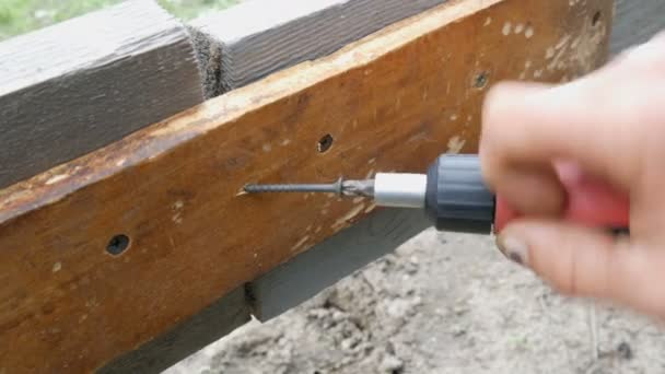 Männerhände ziehen mit einem speziellen Schraubendreher die Schraube in der Holzplatte fest — Stockvideo
