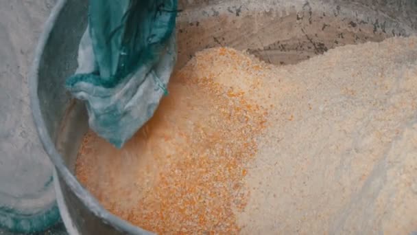 Jagung bran atau serpihan di mesin khusus untuk penggilingan gandum. Cornmeal atau Shredded corn close up view — Stok Video