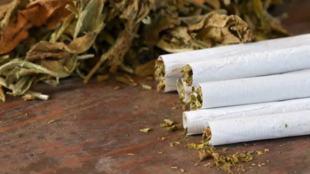Ξηρό καπνών σε φύλλα δίπλα στο σπιτικό τσιγάρα ή roll-up γεμιστά με ψιλοκομμένο καπνό — Αρχείο Βίντεο