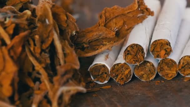 Сигареты собственного производства или рулоны на столе рядом с большими листьями сухого табака — стоковое видео