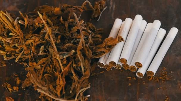 Φίλτρο σπιτικό τσιγάρα ή ρόλος-επάνω δίπλα στην ξηρά καπνών σε φύλλα γεμιστά με ψιλοκομμένο καπνό — Αρχείο Βίντεο