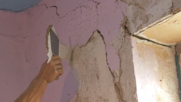 Decrepit carta da parati rosa su un muro, riparazione domestica. Uomo peeling vecchia carta da parati con spatola speciale . — Video Stock