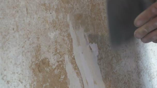 Чоловік очищає глиняні стіни від старих шпалер шпателем крупним планом — стокове відео