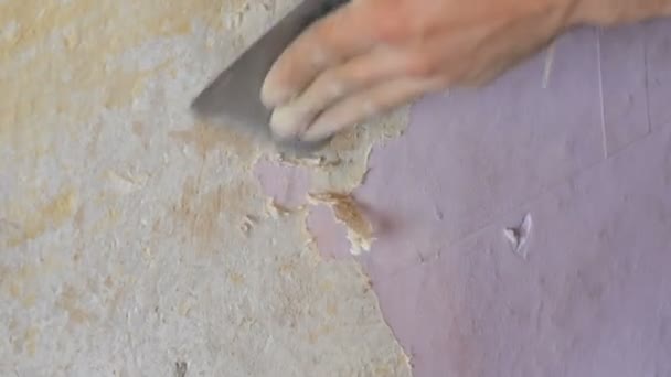 The male builders hand rips off or peel old pink wallpaper from the wall with a special spatula — Stock Video