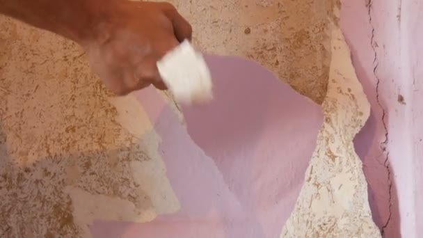 Hombre constructores mano rasga viejo fondo de pantalla de color rosa de una pared en reparación — Vídeo de stock