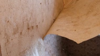 Bir evde onarın. Sökük uzakta eski kahverengi duvar duvar kağıdı. Büyük bir parça eski bir duvar kağıdı kabuğu duvarından