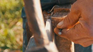 Erkek Marangoz çekiçleri demir çivi bir ahşap tahta içine yakın çekim