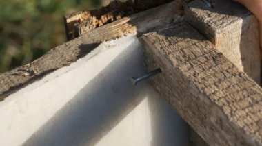 Erkek marangoz ahşap bir tahta demir çivi çekiç