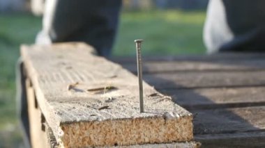 Erkek marangoz ahşap bir tahta demir çivi çekiç