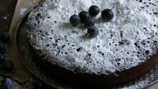 Σοκολάτας κέικ νεράιδα γενναιόδωρα καλυπτόμενο με ζάχαρη άχνη, κομψά ξαπλωμένη δίπλα από τα μπλε μούρα — Αρχείο Βίντεο