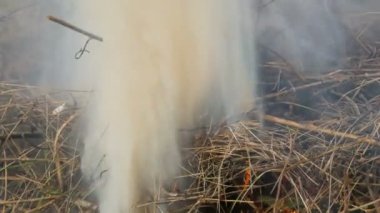 Kuru çimen veya sigara tüttüyor. Yangınlar ve doğanın korunması sorunu